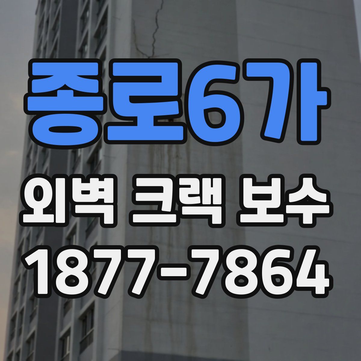 종로6가 외벽 크랙 보수
