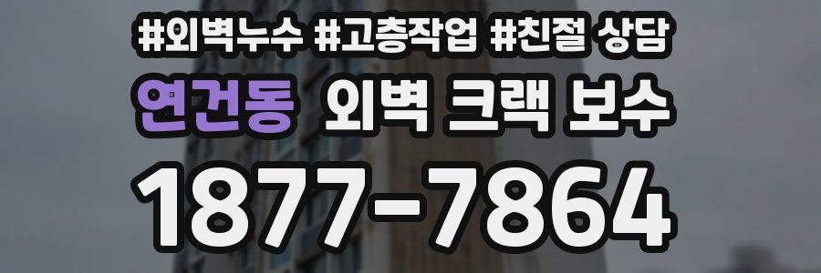 연건동 외벽 크랙 보수