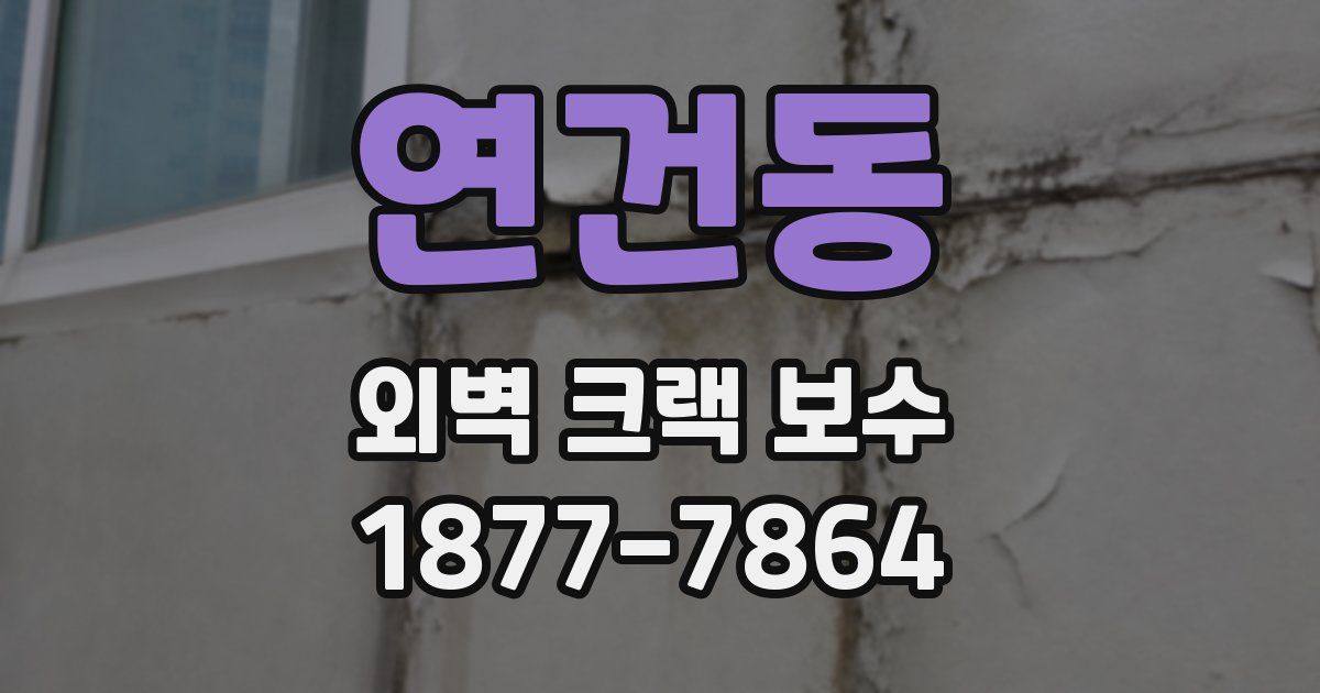 연건동 외벽 크랙 보수