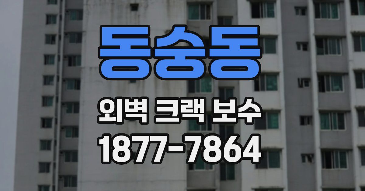 동숭동 외벽 크랙 보수