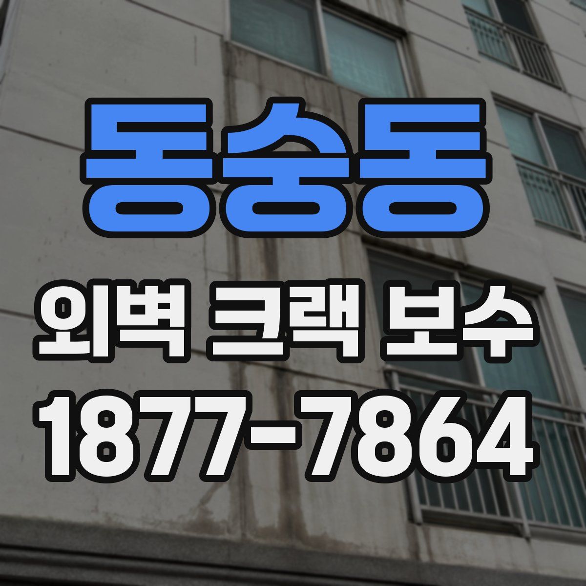 동숭동 외벽 크랙 보수