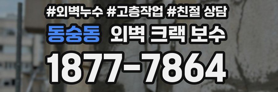 동숭동 외벽 크랙 보수