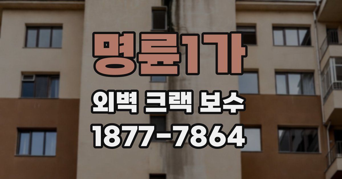 명륜1가 외벽 크랙 보수