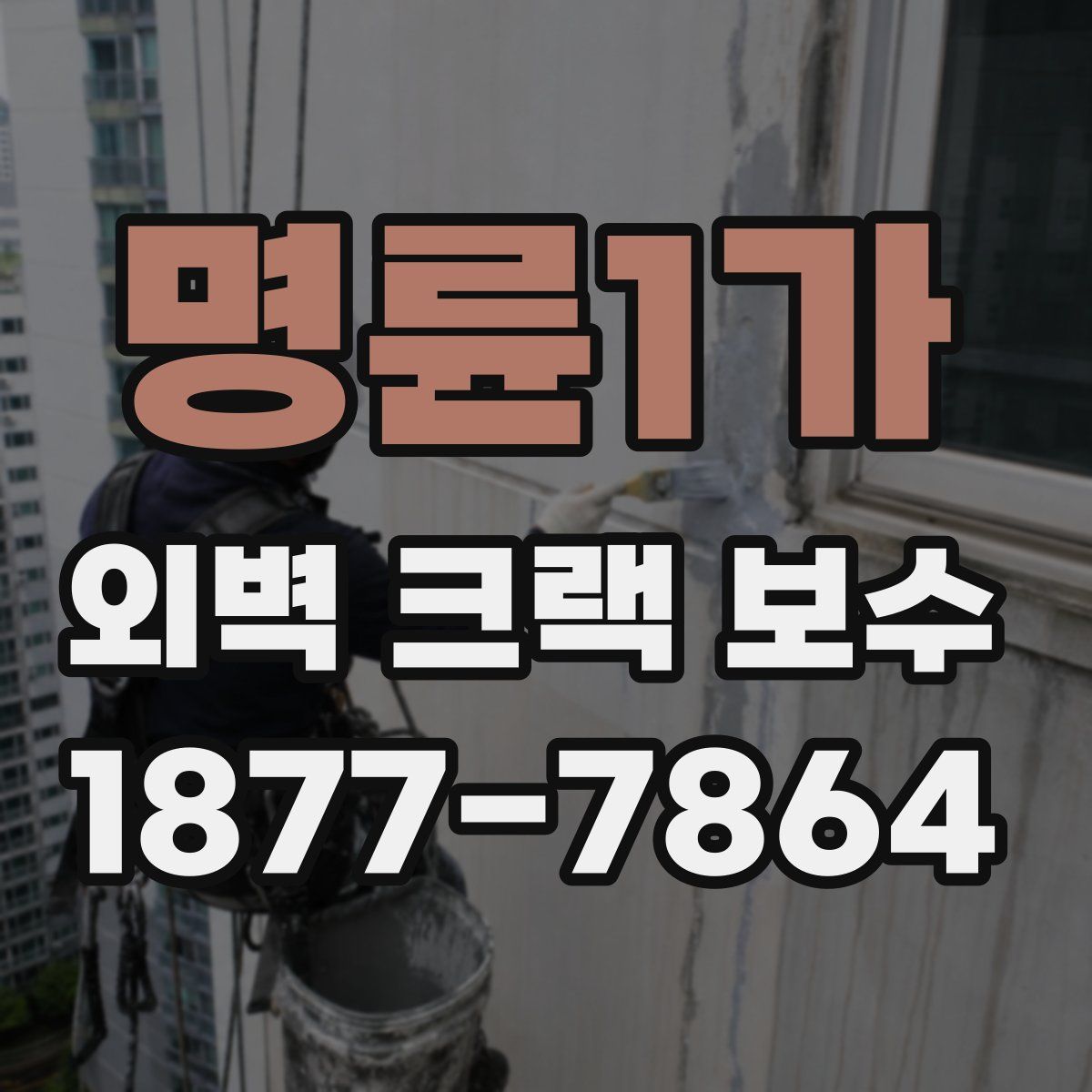 명륜1가 외벽 크랙 보수