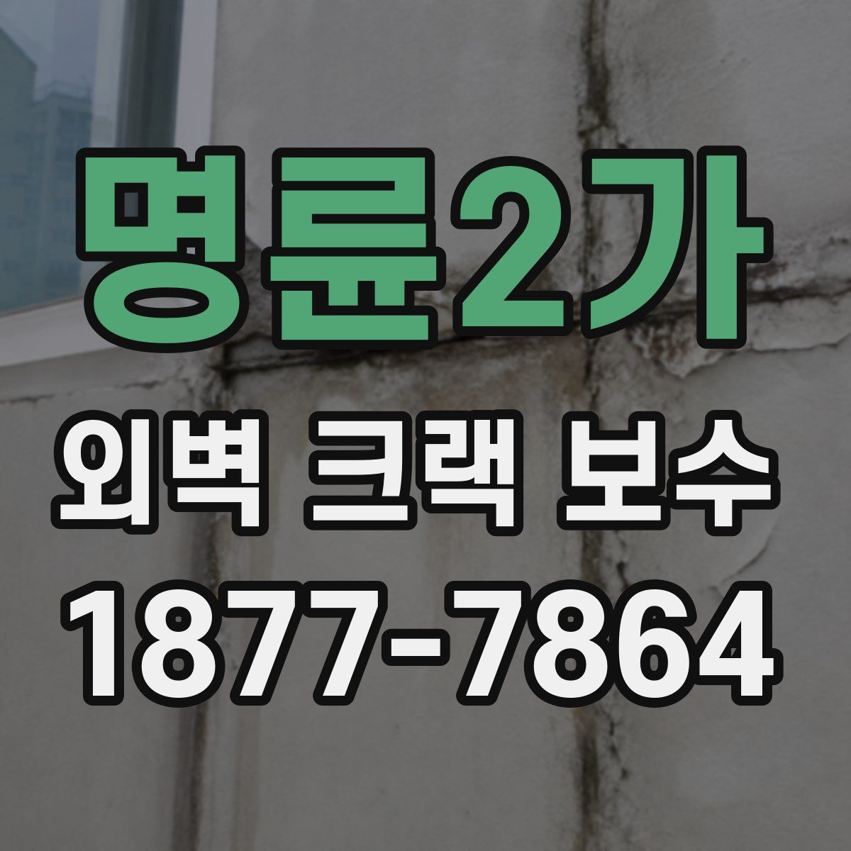 명륜2가 외벽 크랙 보수