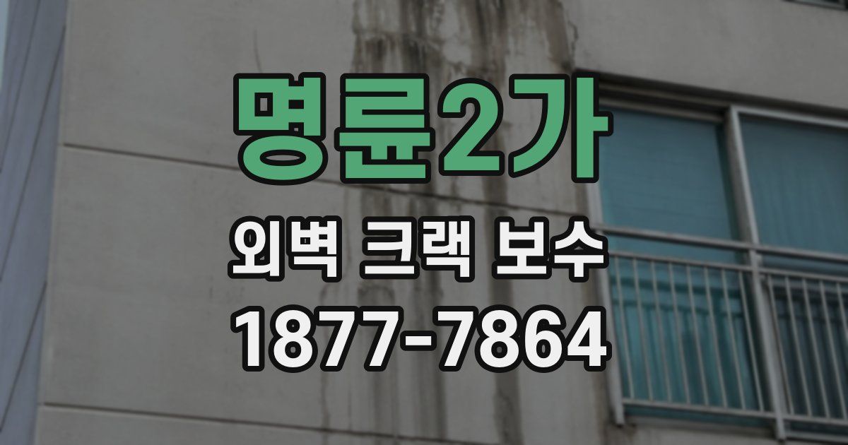명륜2가 외벽 크랙 보수