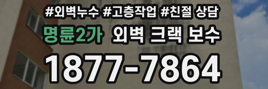 명륜2가 외벽 크랙 보수