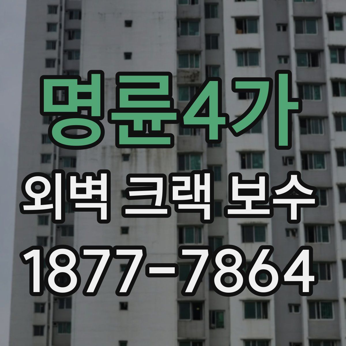 명륜4가 외벽 크랙 보수