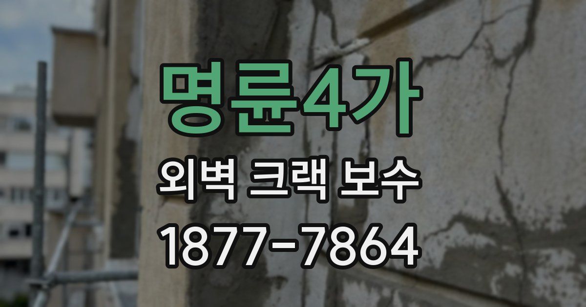 명륜4가 외벽 크랙 보수
