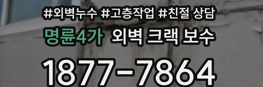 명륜4가 외벽 크랙 보수