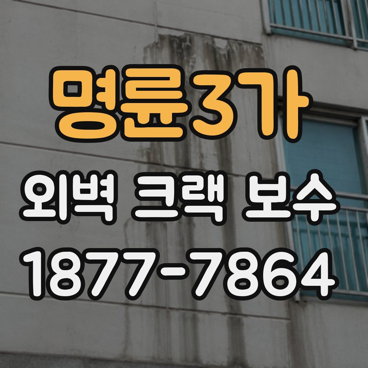 명륜3가 외벽 크랙 보수