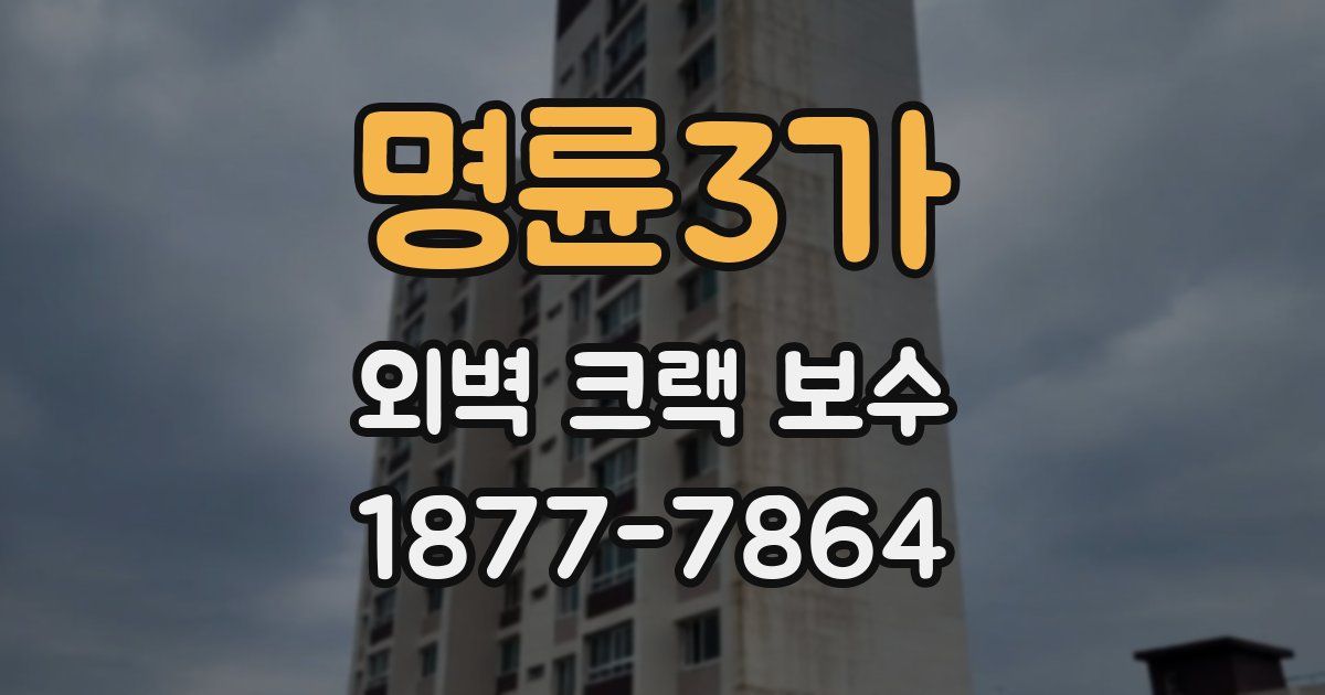 명륜3가 외벽 크랙 보수