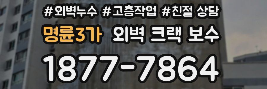명륜3가 외벽 크랙 보수