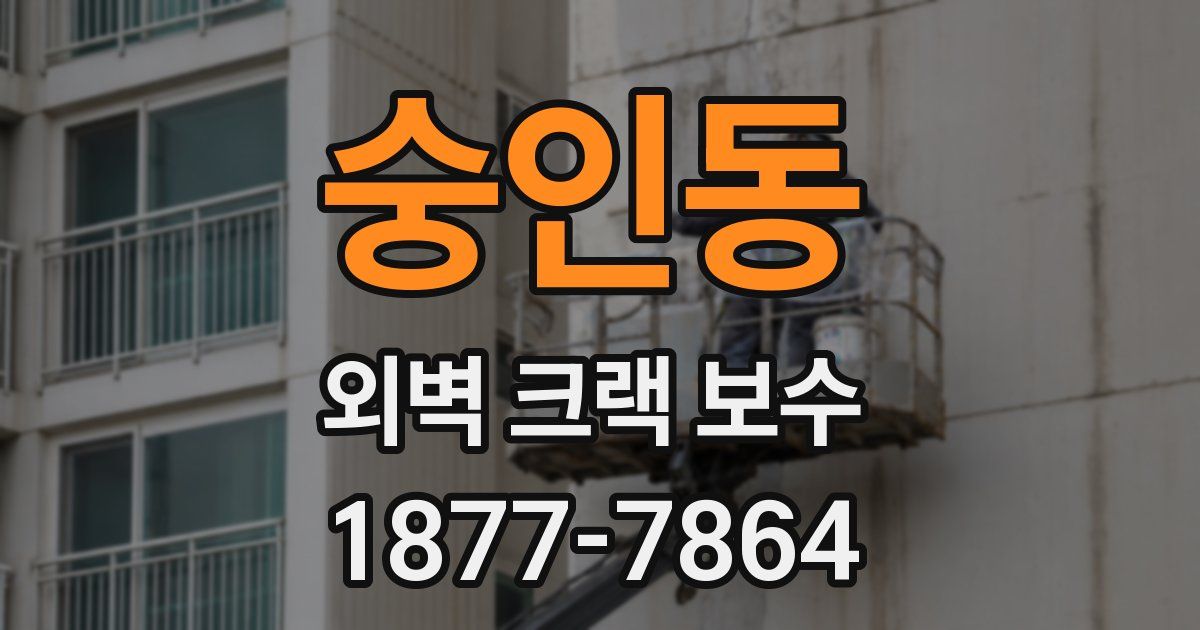 숭인동 외벽 크랙 보수