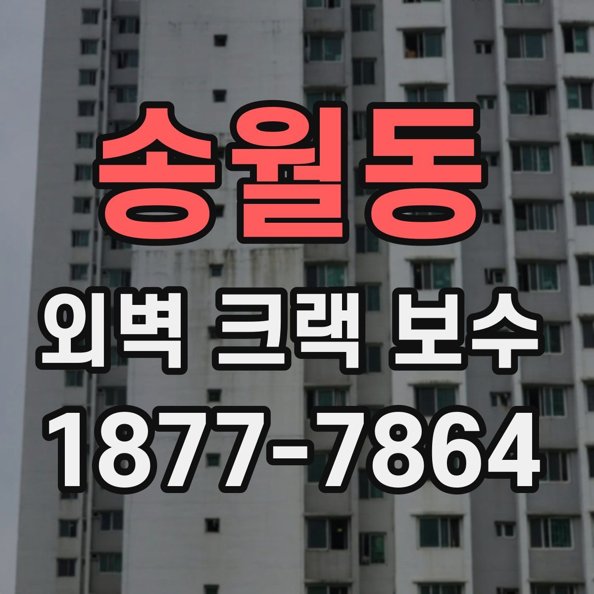 송월동 외벽 크랙 보수