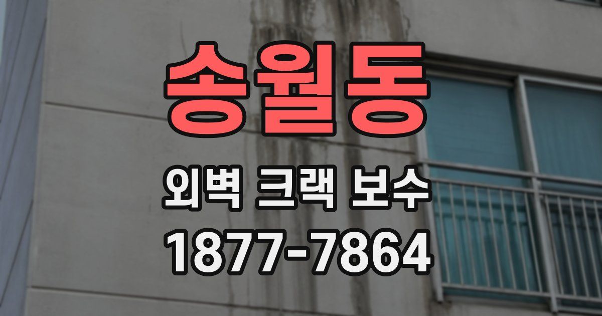 송월동 외벽 크랙 보수