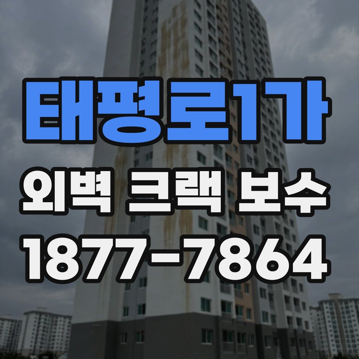 태평로1가 외벽 크랙 보수 공사 범위는 어디까지 필요한가