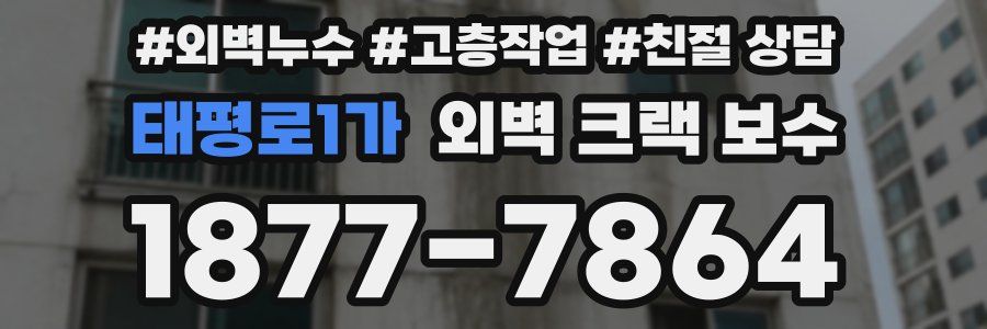 태평로1가 외벽 크랙 보수