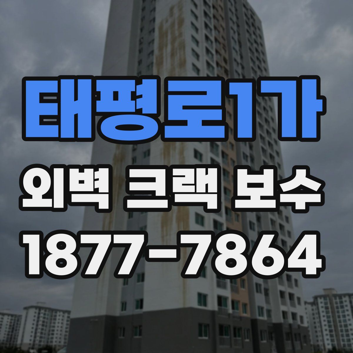 태평로1가 외벽 크랙 보수