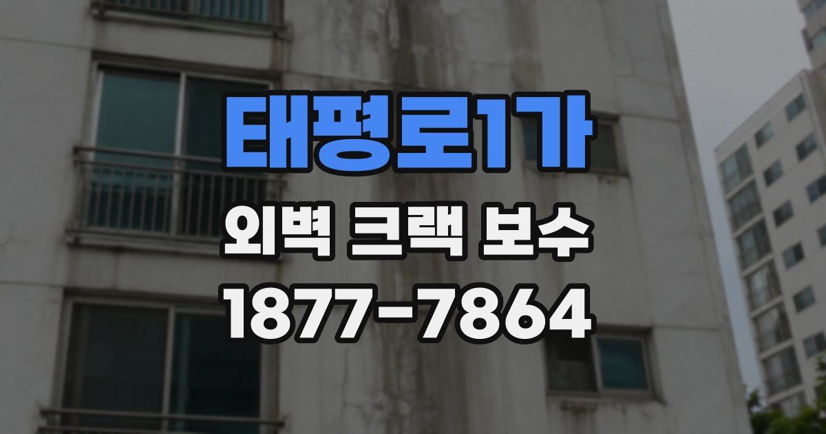 태평로1가 외벽 크랙 보수