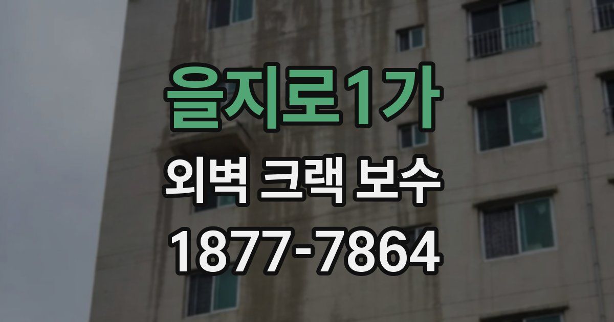 을지로1가 외벽 크랙 보수