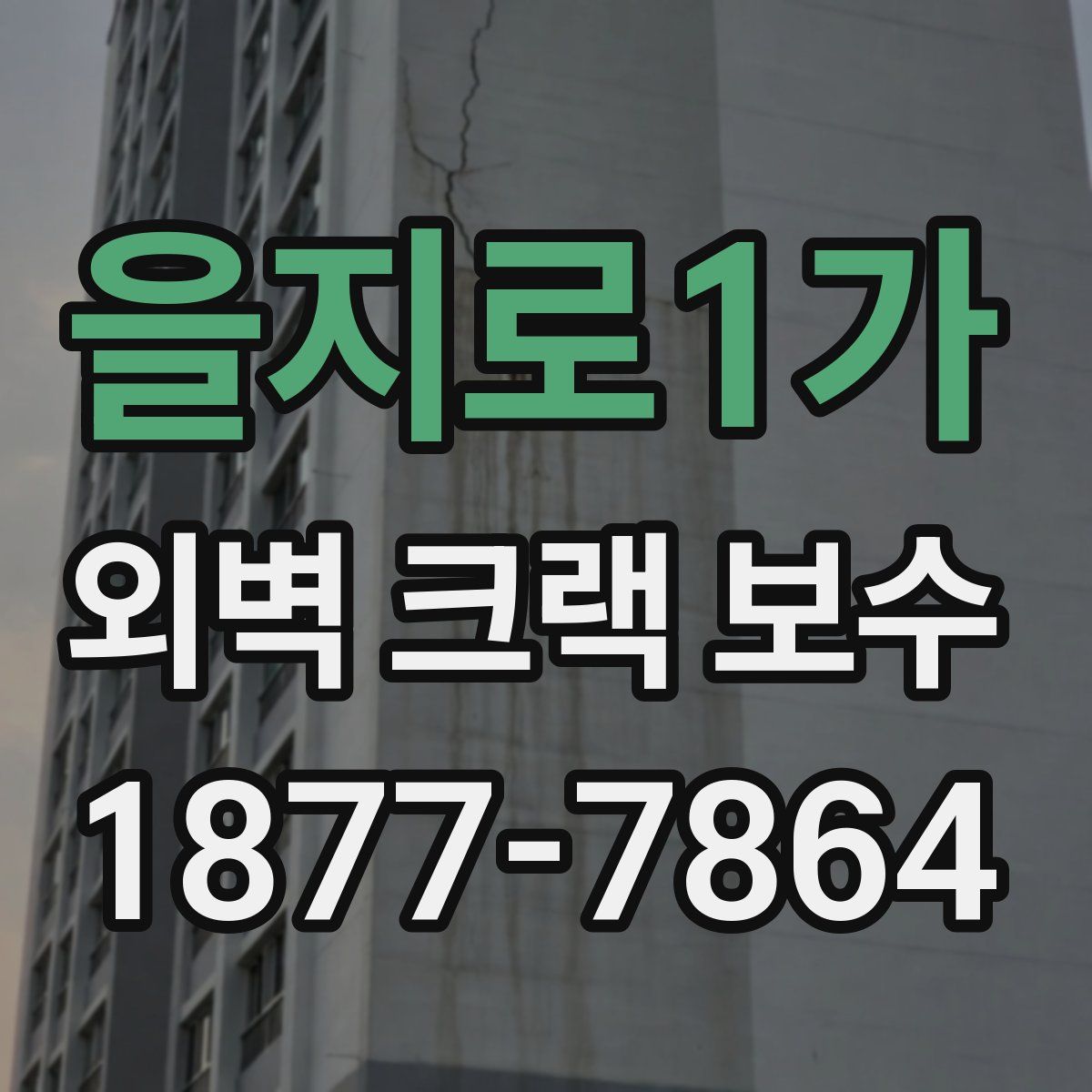 을지로1가 외벽 크랙 보수