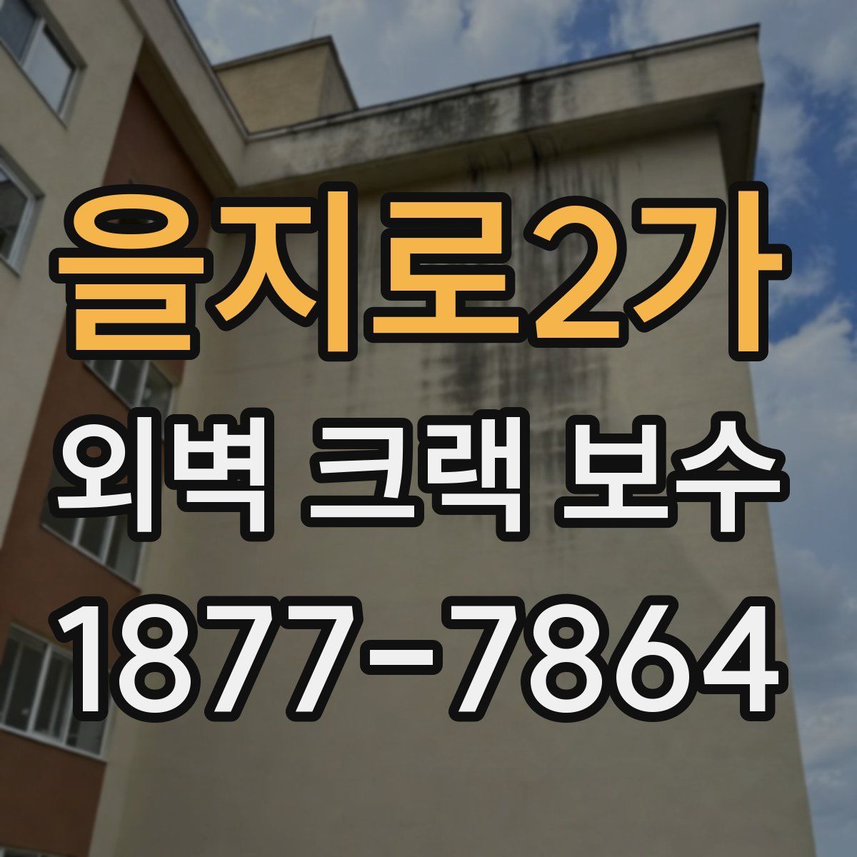 을지로2가 외벽 크랙 보수