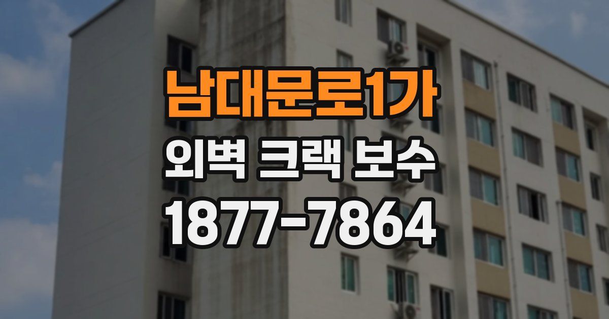 남대문로1가 외벽 크랙 보수