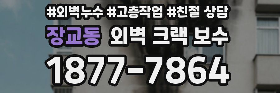 장교동 외벽 크랙 보수