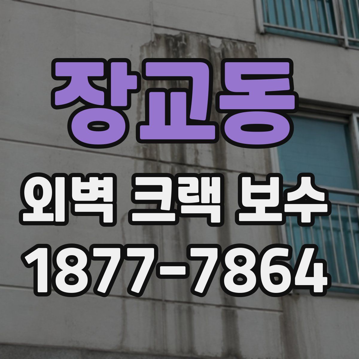 장교동 외벽 크랙 보수