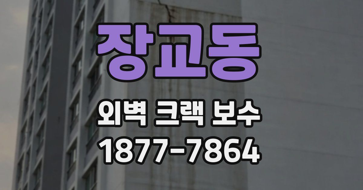 장교동 외벽 크랙 보수