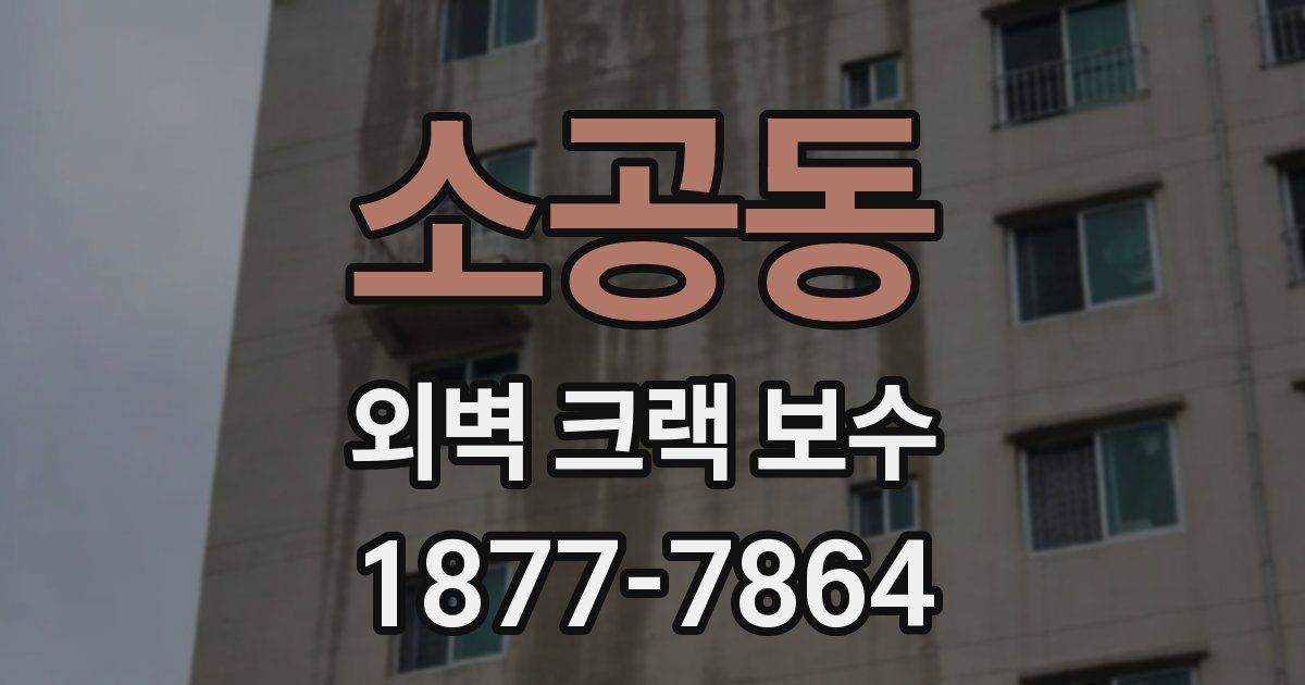 소공동 외벽 크랙 보수