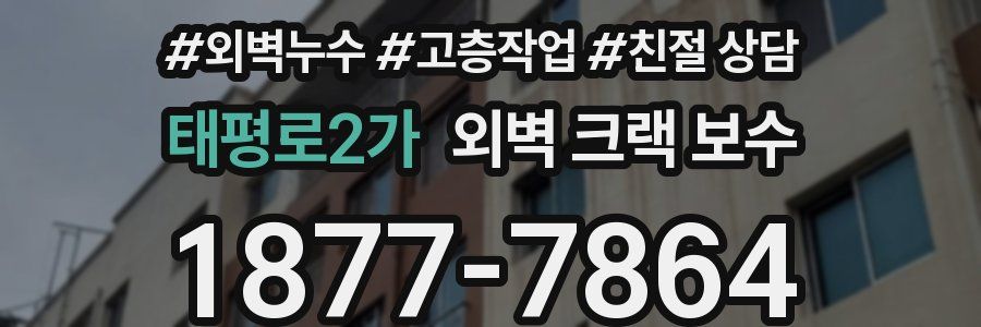 태평로2가 외벽 크랙 보수