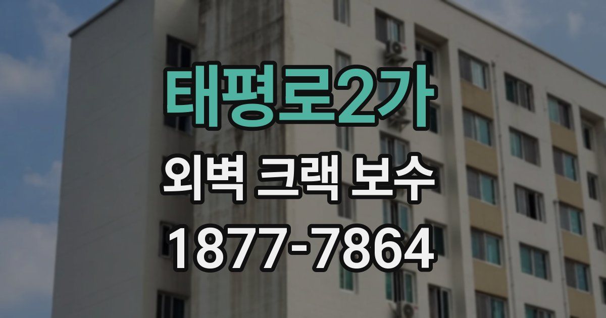 태평로2가 외벽 크랙 보수