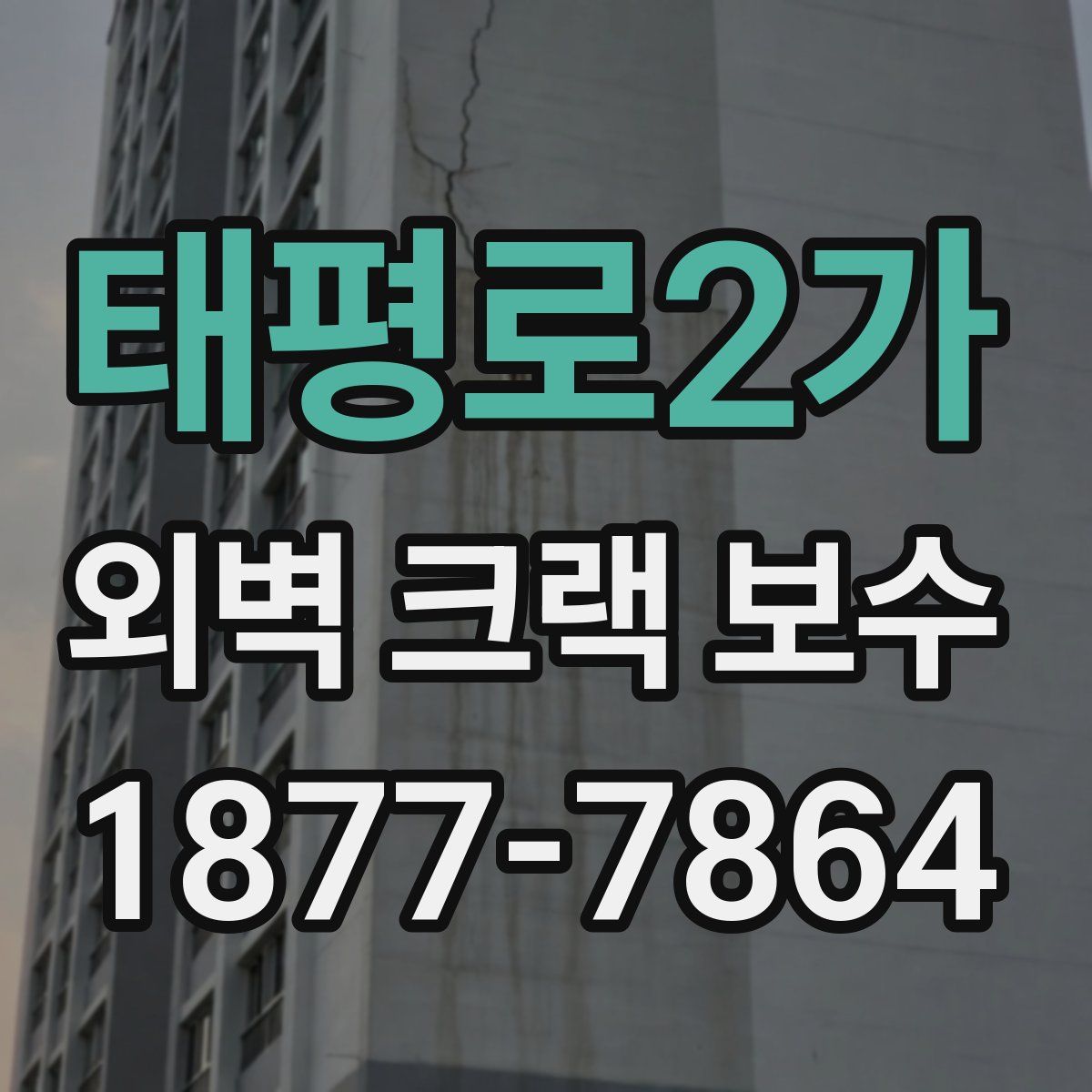 태평로2가 외벽 크랙 보수