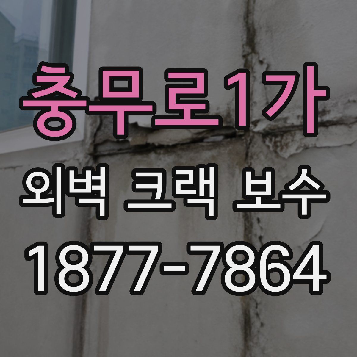 충무로1가 외벽 크랙 보수