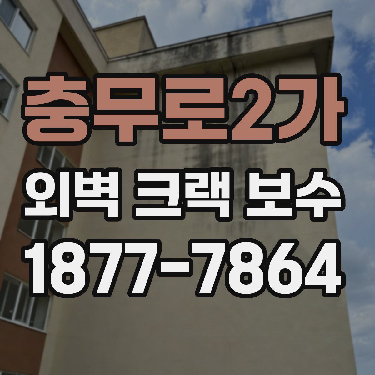 충무로2가 외벽 크랙 보수