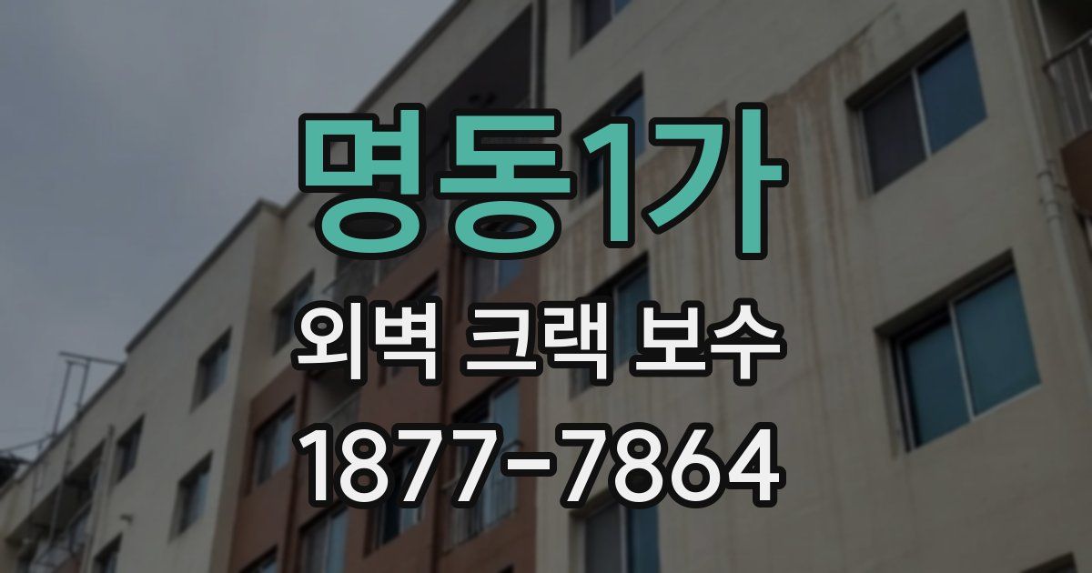 명동1가 외벽 크랙 보수