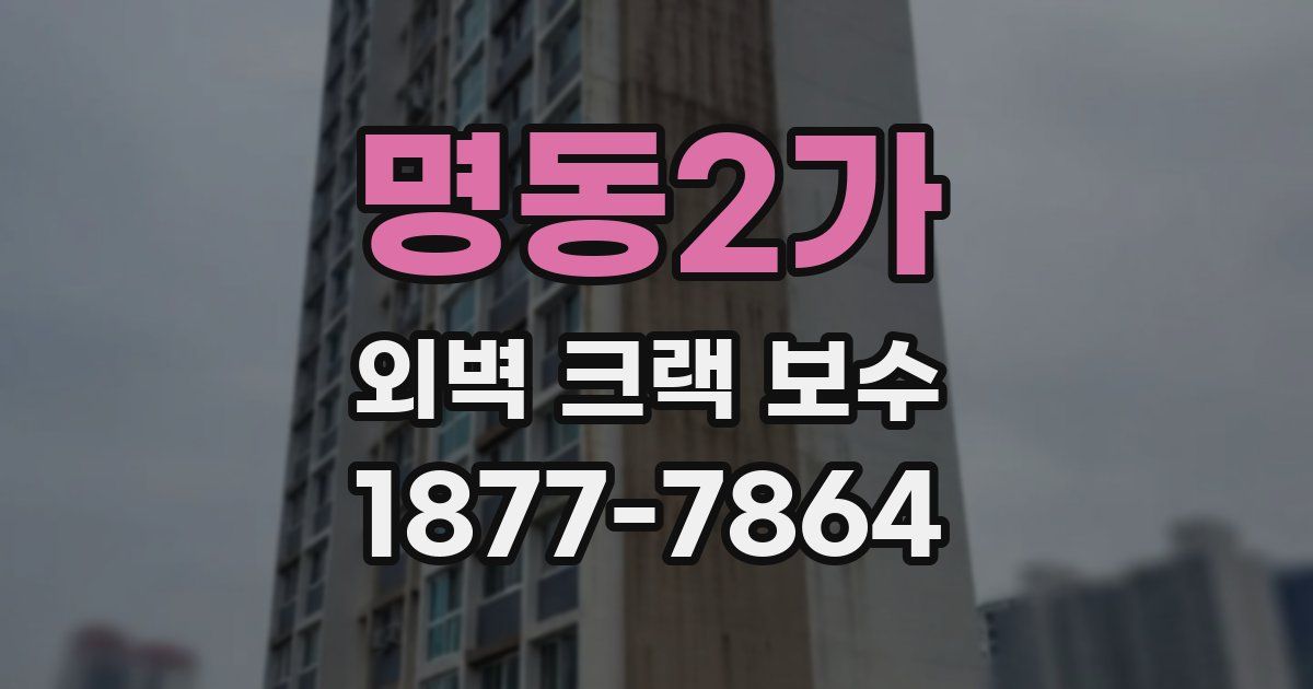 명동2가 외벽 크랙 보수