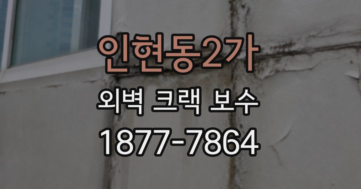 인현동2가 외벽 크랙 보수