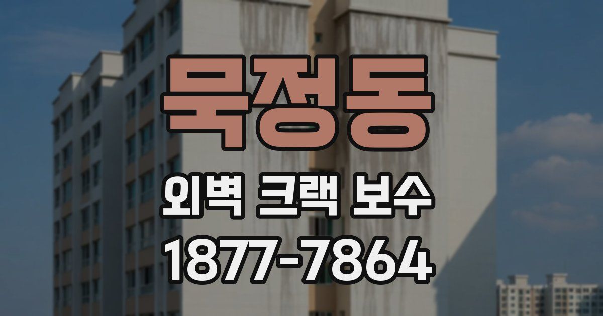 묵정동 외벽 크랙 보수