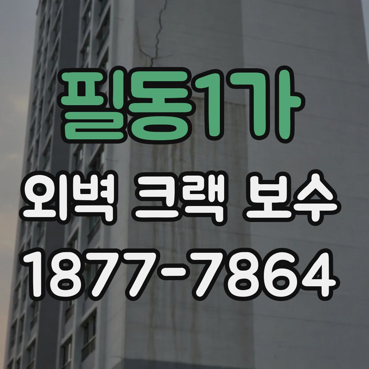 필동1가 외벽 크랙 보수