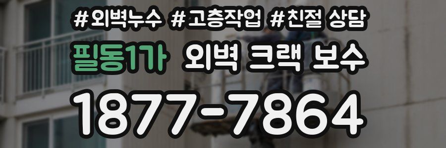 필동1가 외벽 크랙 보수