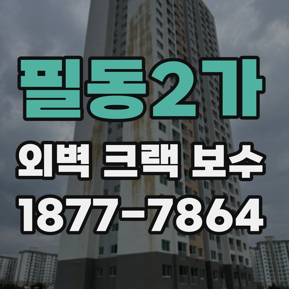 필동2가 외벽 크랙 보수