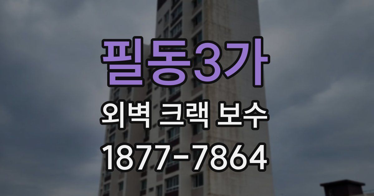 필동3가 외벽 크랙 보수