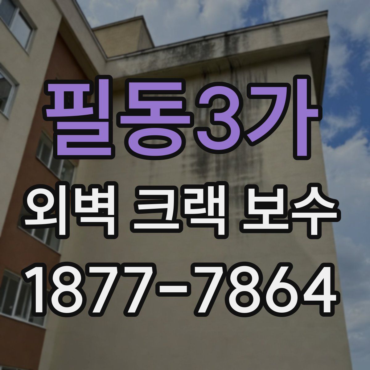 필동3가 외벽 크랙 보수