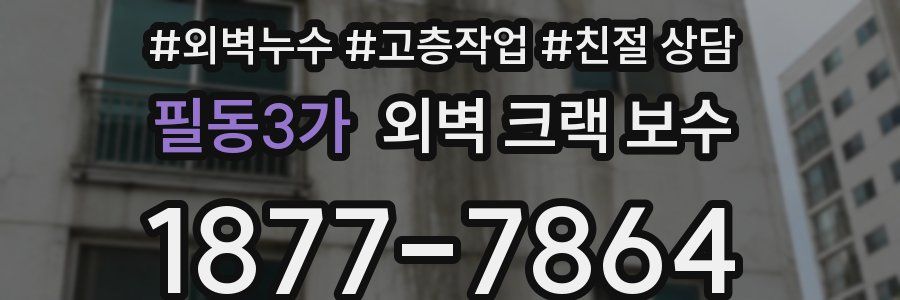 필동3가 외벽 크랙 보수