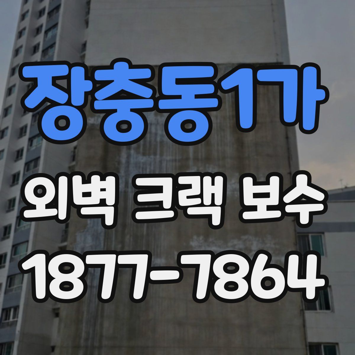 장충동1가 외벽 크랙 보수