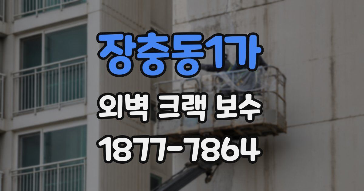 장충동1가 외벽 크랙 보수
