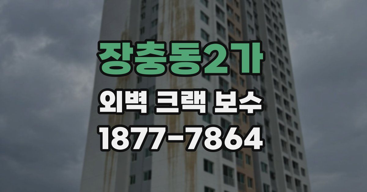 장충동2가 외벽 크랙 보수